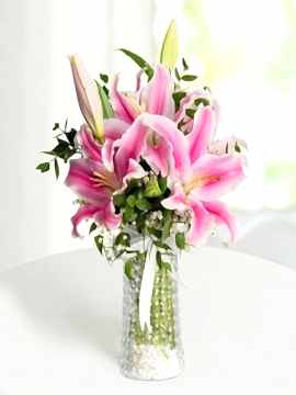 Vazoda Pembe Lilyum