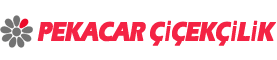 Bakı Çiçek Siparişi